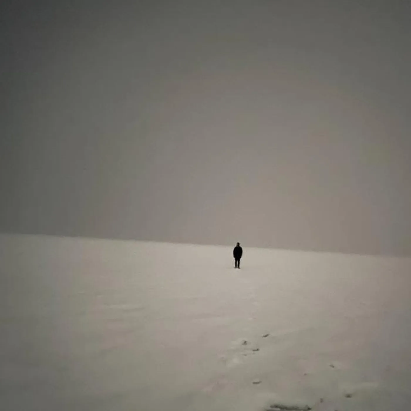 Cursebitten Brand Page