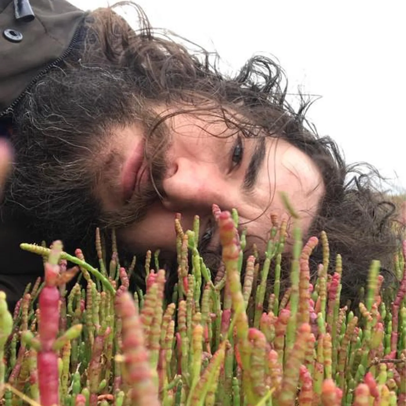 A.B. Chediski Brand Page