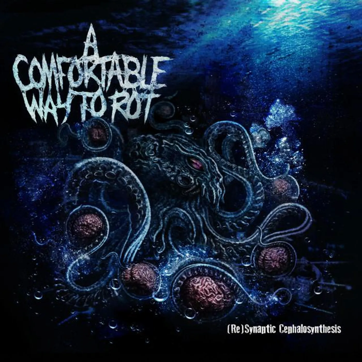 A Comfortable Way to Rot