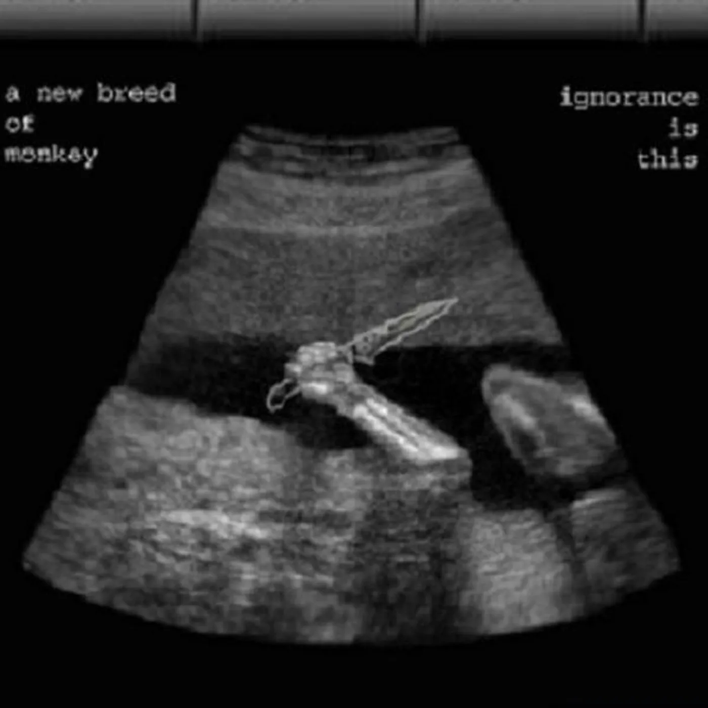 A New Breed Of Monkey Brand Page