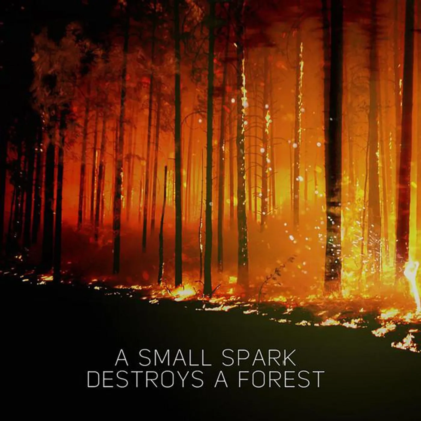 A Small Spark Destroys a Forest
