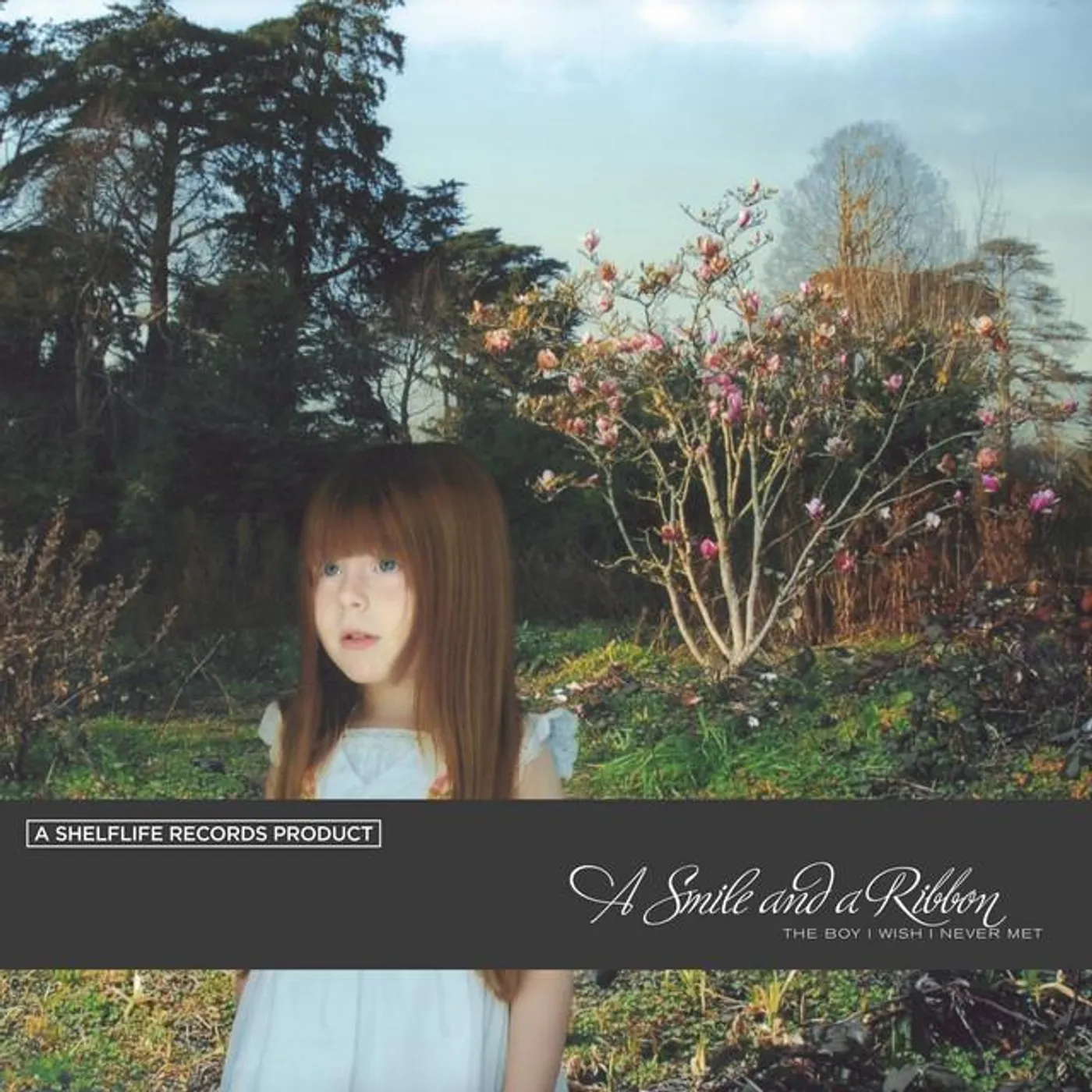 A Smile and a Ribbon Brand Page