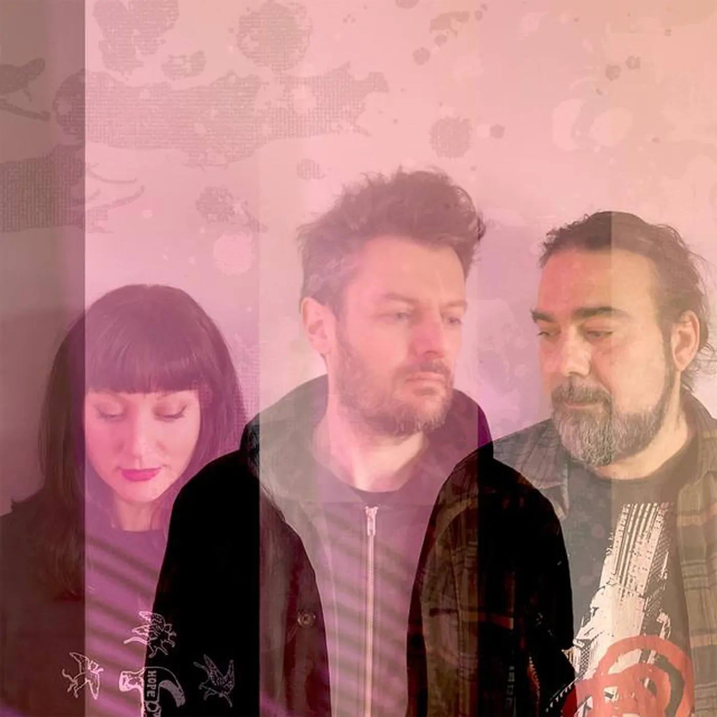 A-Sun Amissa Brand Page