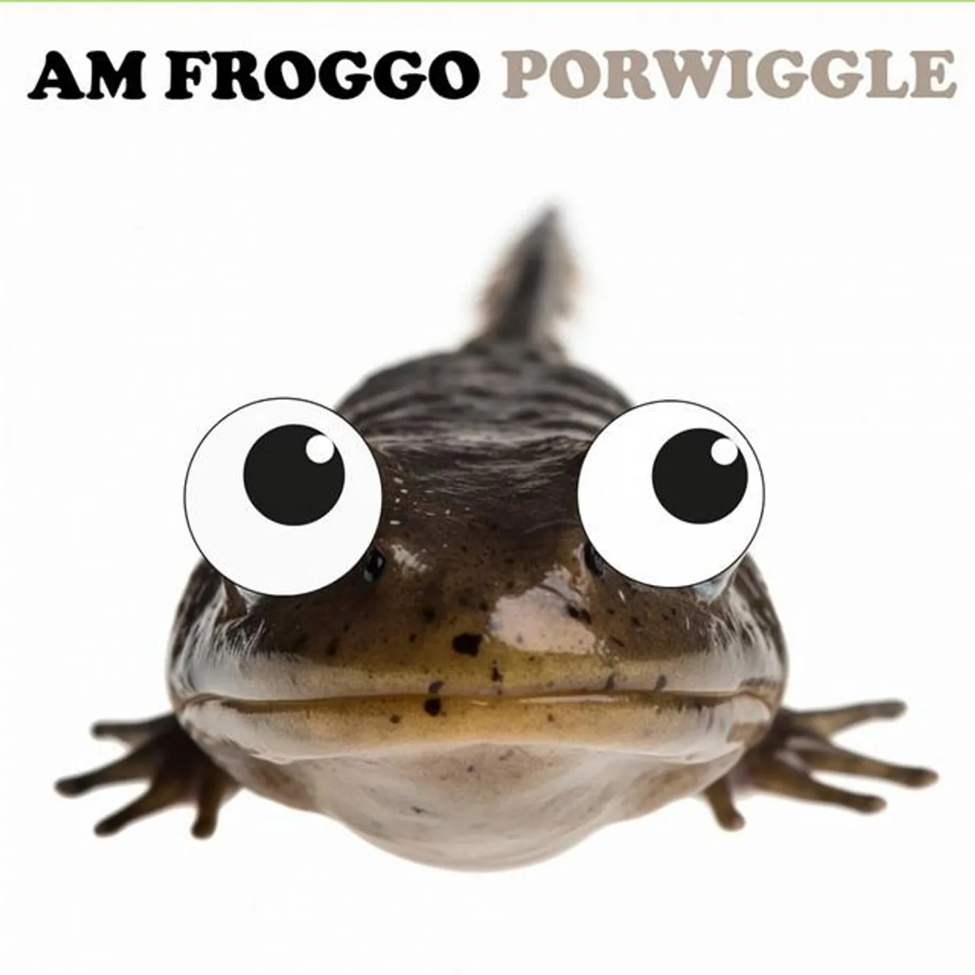 Am Froggo Brand Page