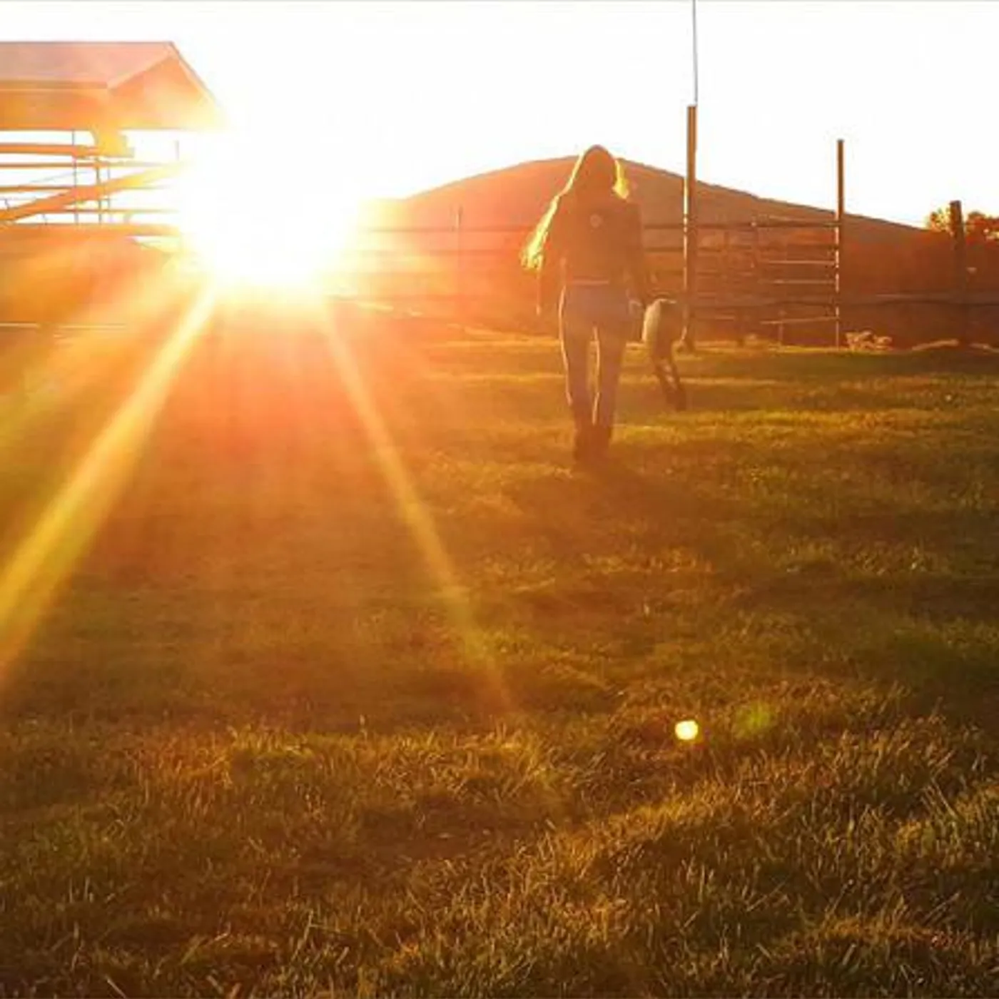 Amélie Hall Brand Page