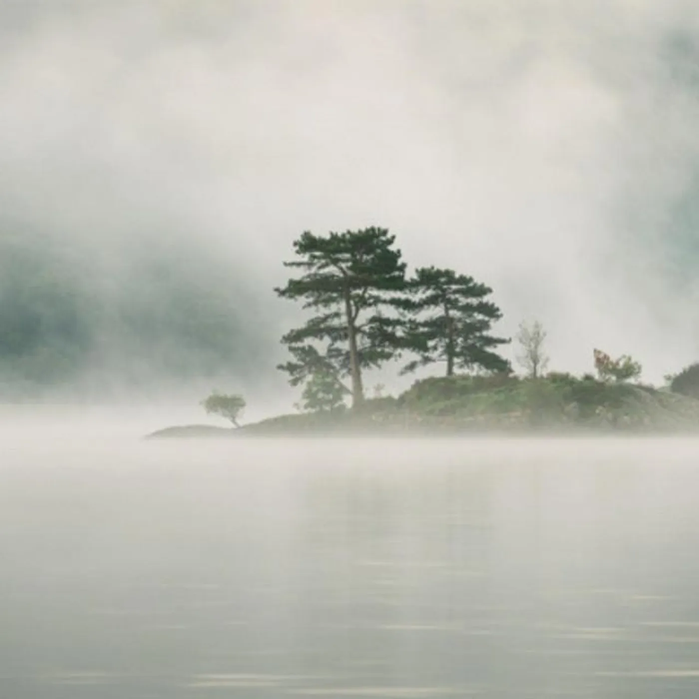 Amy Mary Collins Brand Page