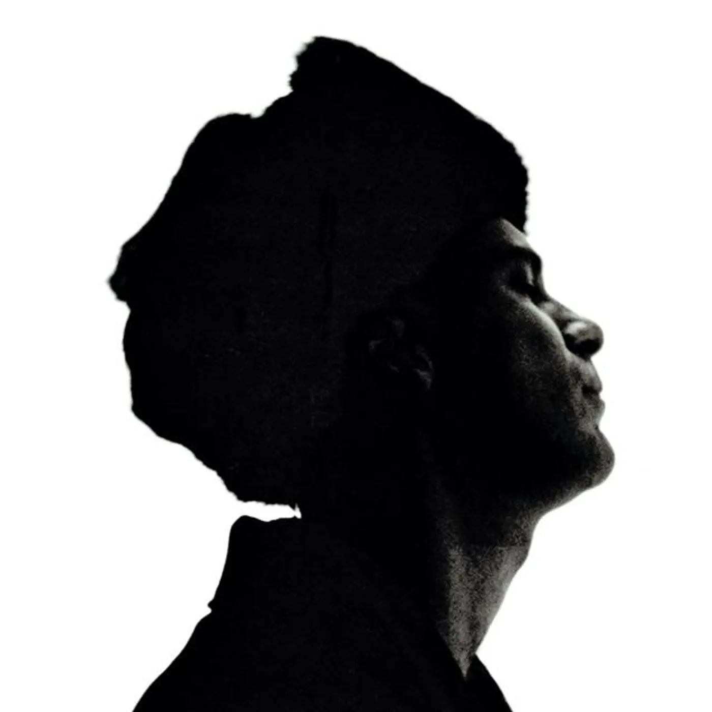 Amalfitano Brand Page