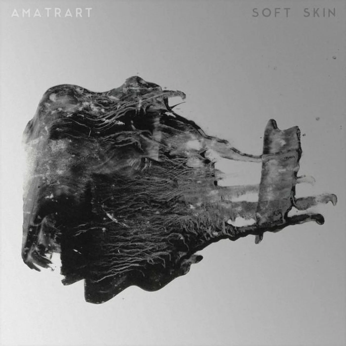 AmatrArt