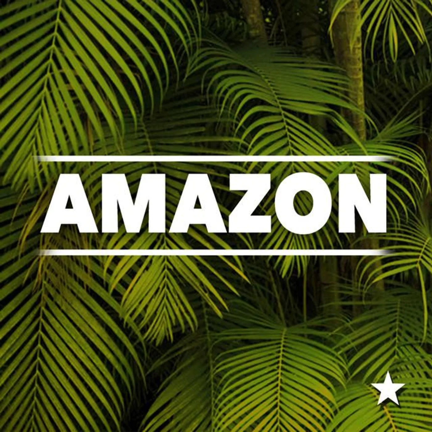 Amazon