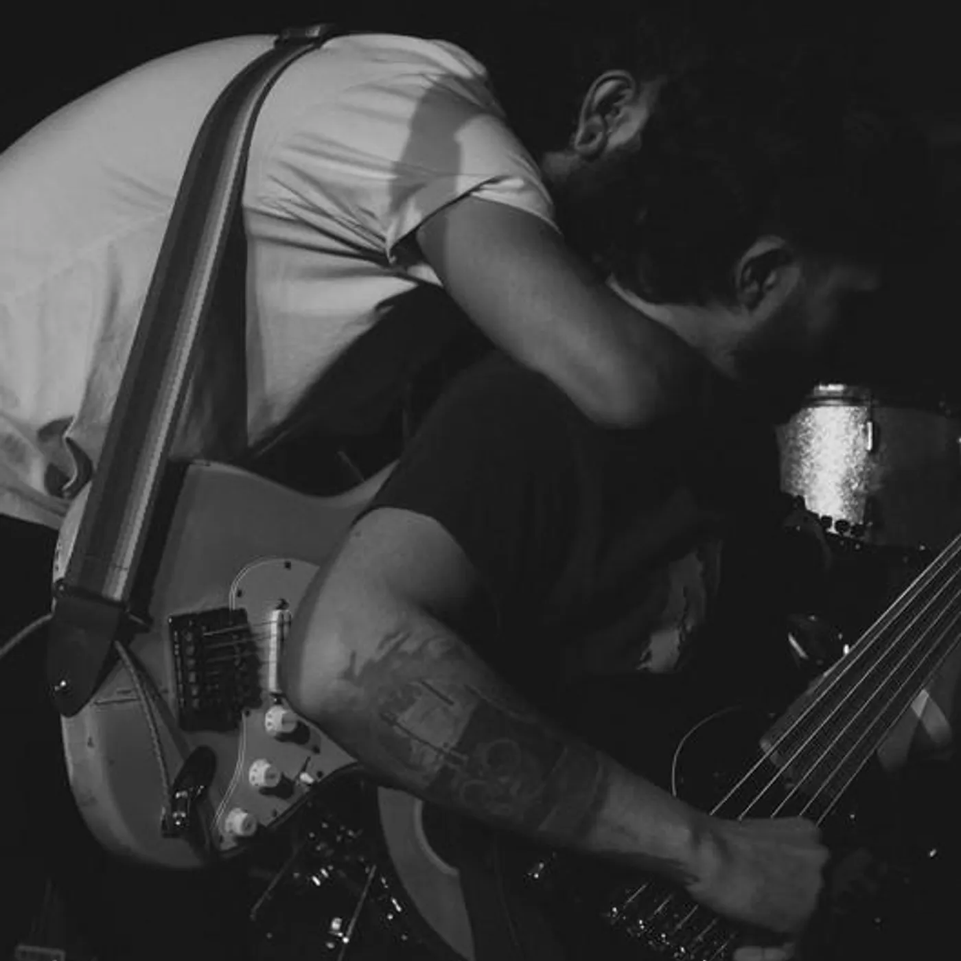 American Beauty Brand Page