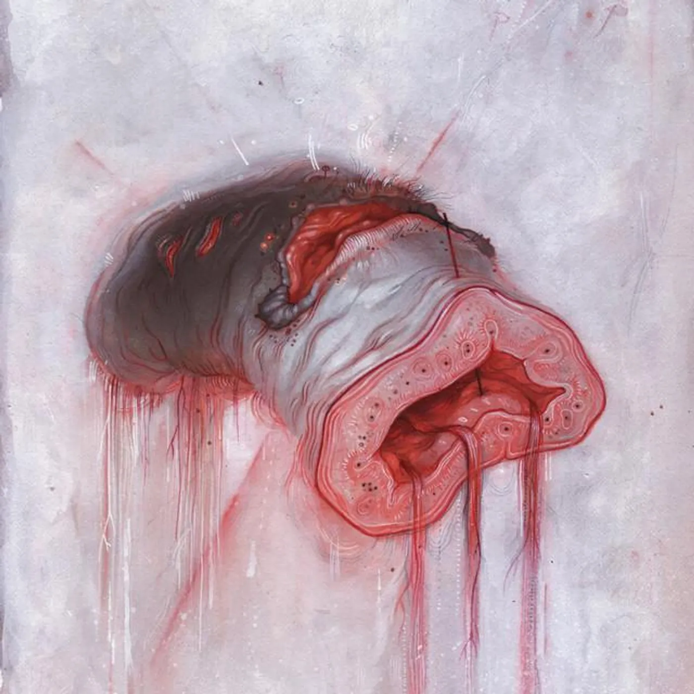 American Heritage Brand Page