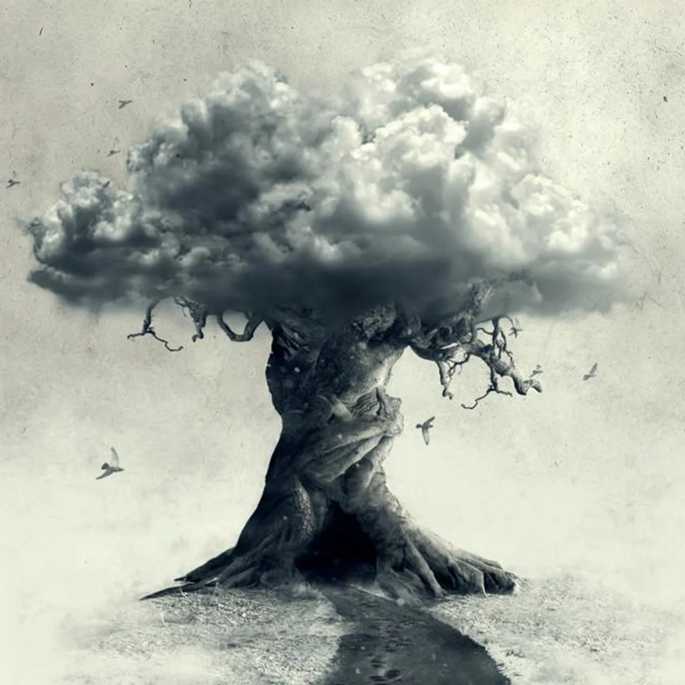 Amethystium Brand Page