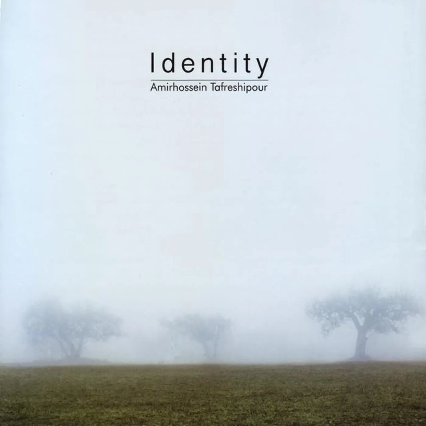 Amirhossein Tafreshipour