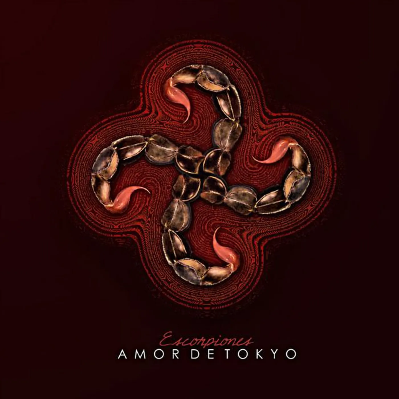 Amor de Tokyo Brand Page
