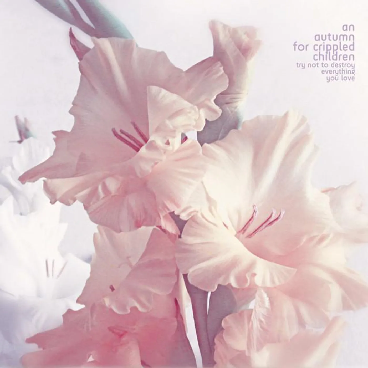 An Autumn for Crippled Children Brand Page