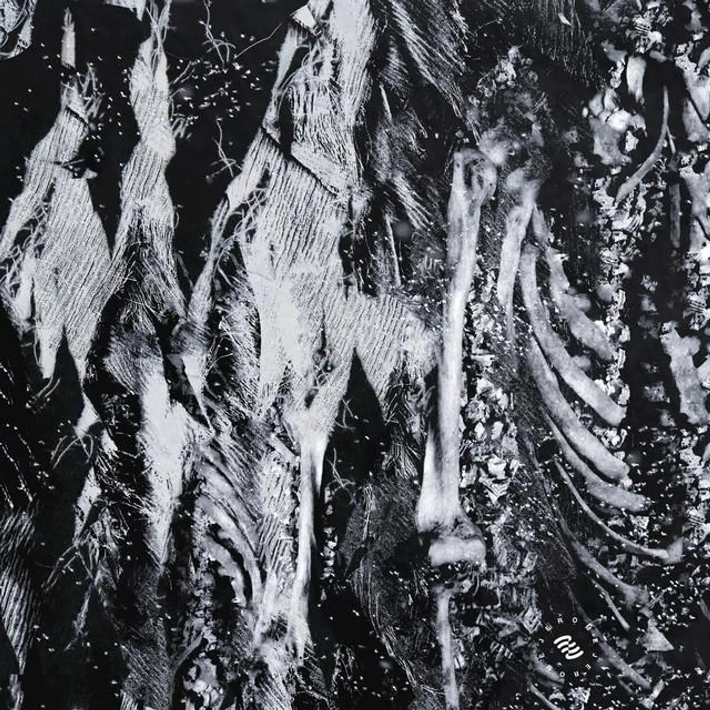 AN System Brand Page