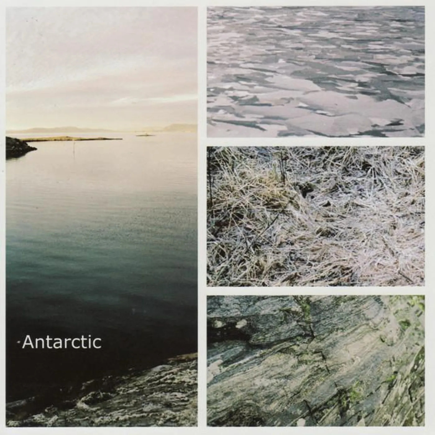 Antarctic Brand Page