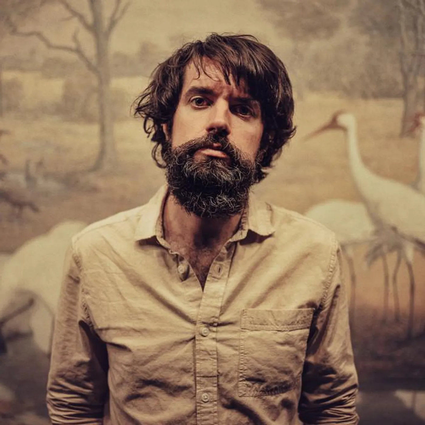 Anthony D'Amato Brand Page