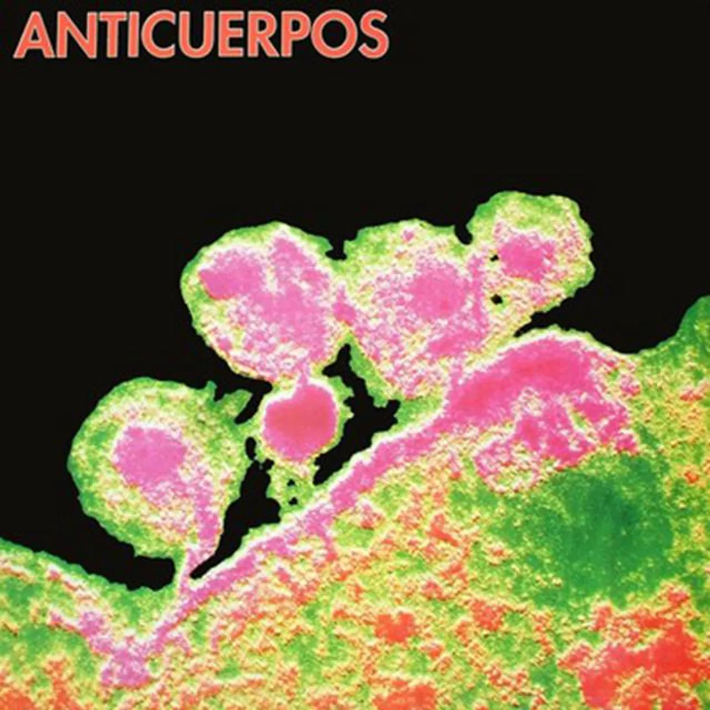 Anticuerpos