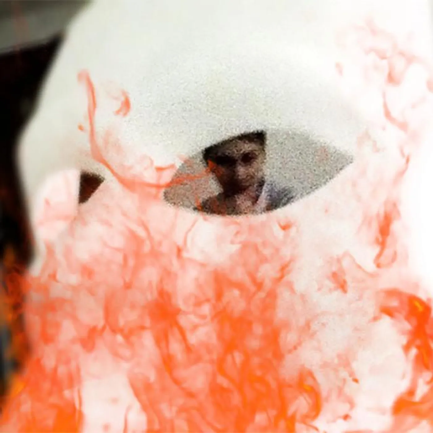 Anton Zap Brand Page