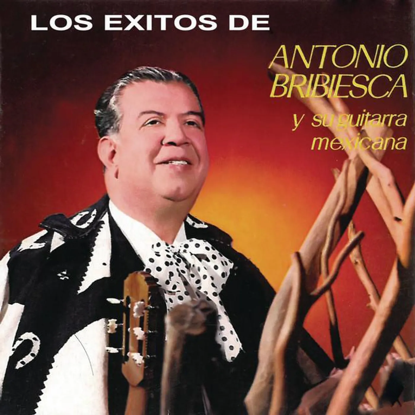 Antonio Bribiesca