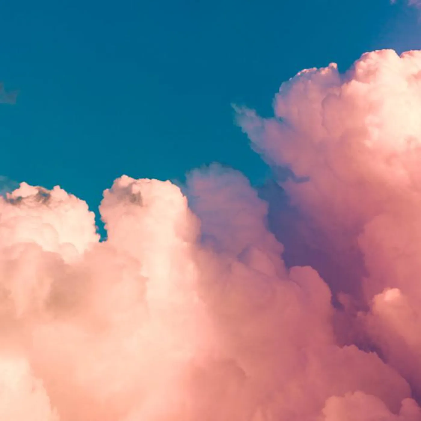 analogwave Brand Page