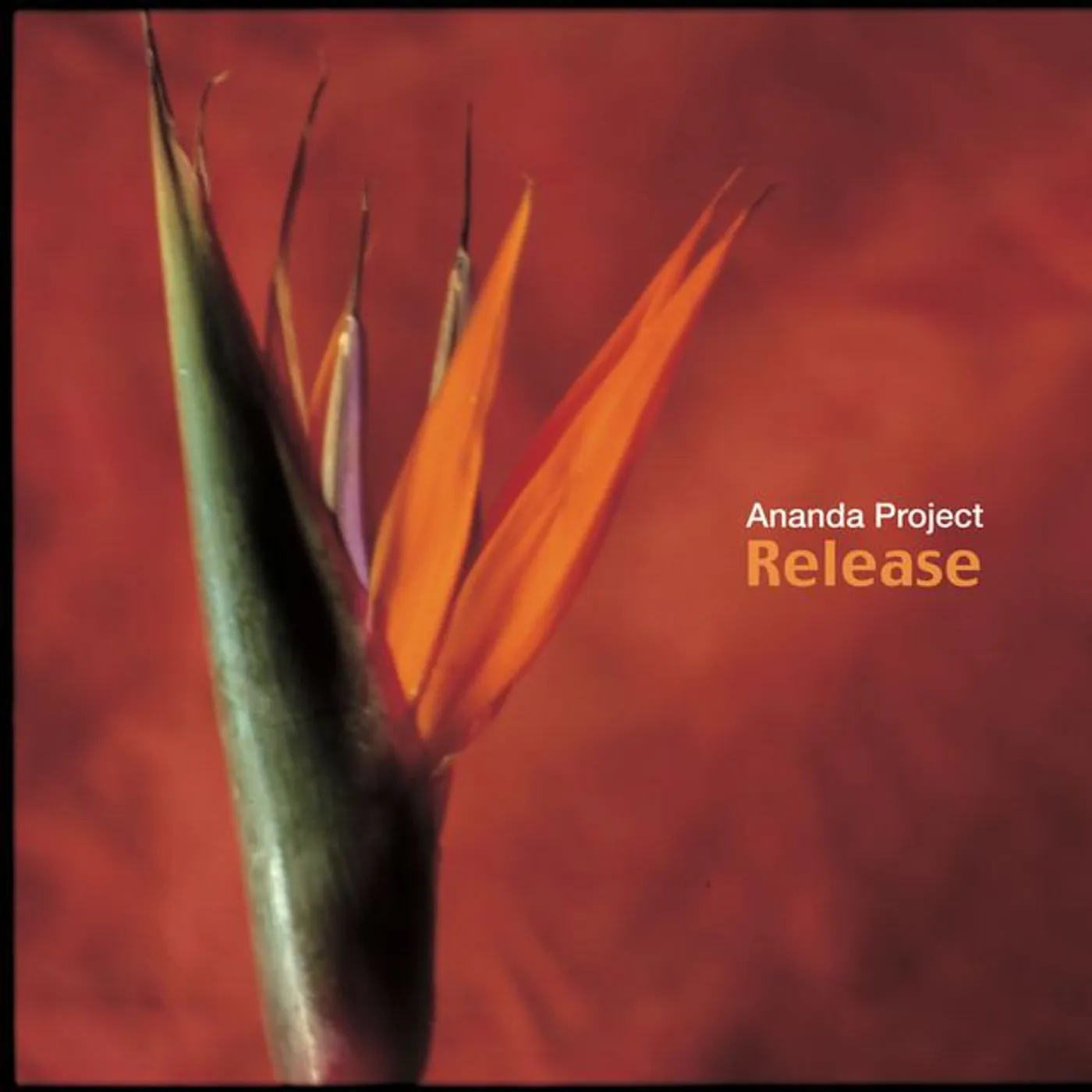 Ananda Project Brand Page