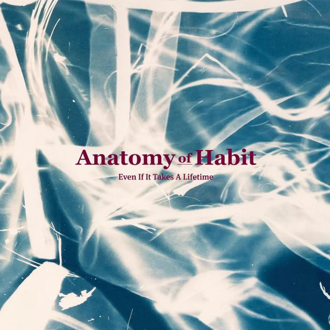 Anatomy Of Habit