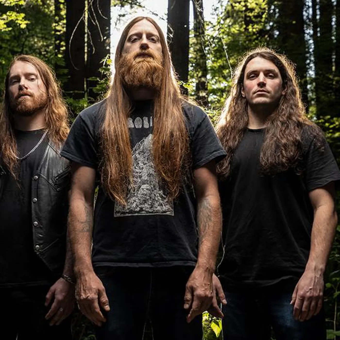 Anciients Brand Page