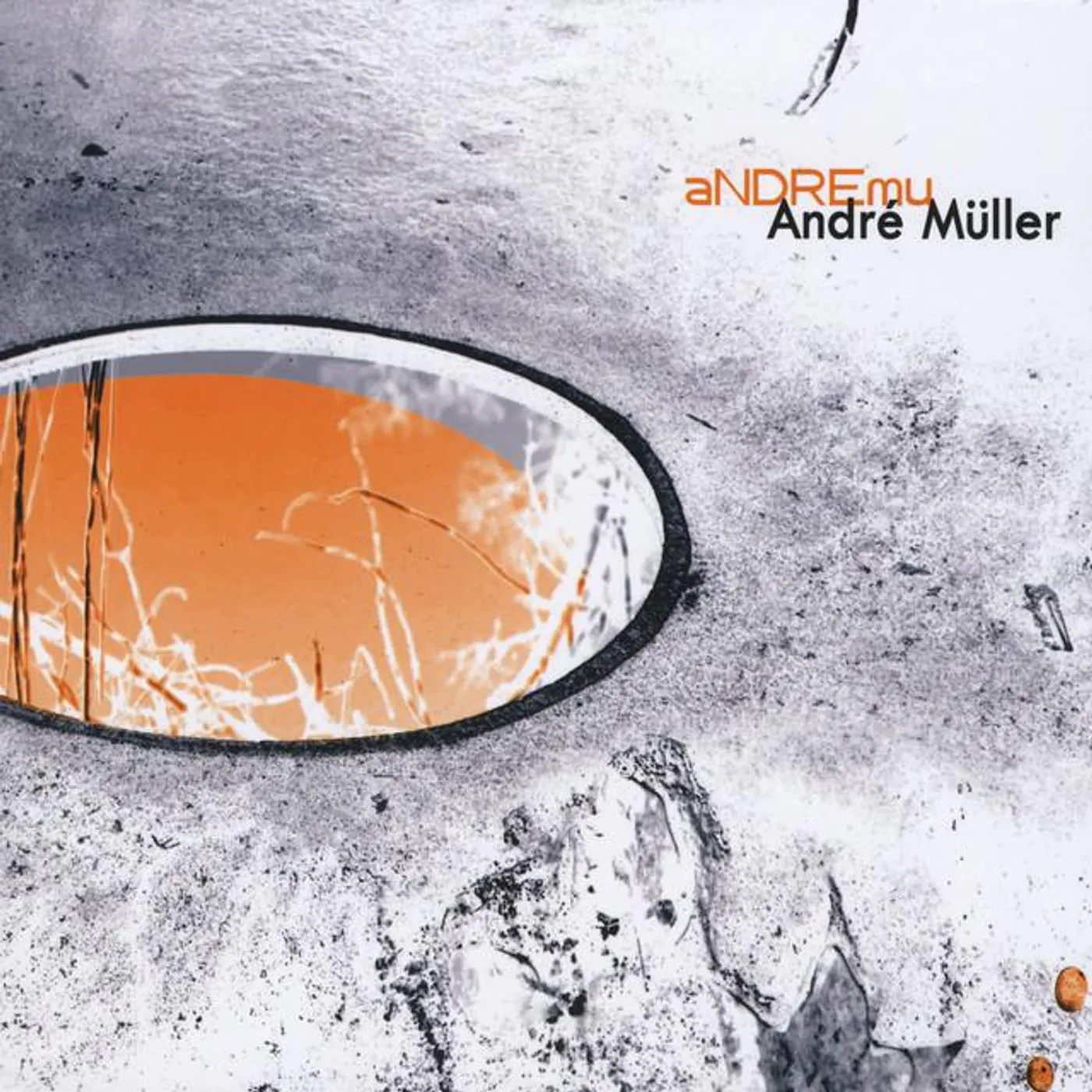Andre Mueller