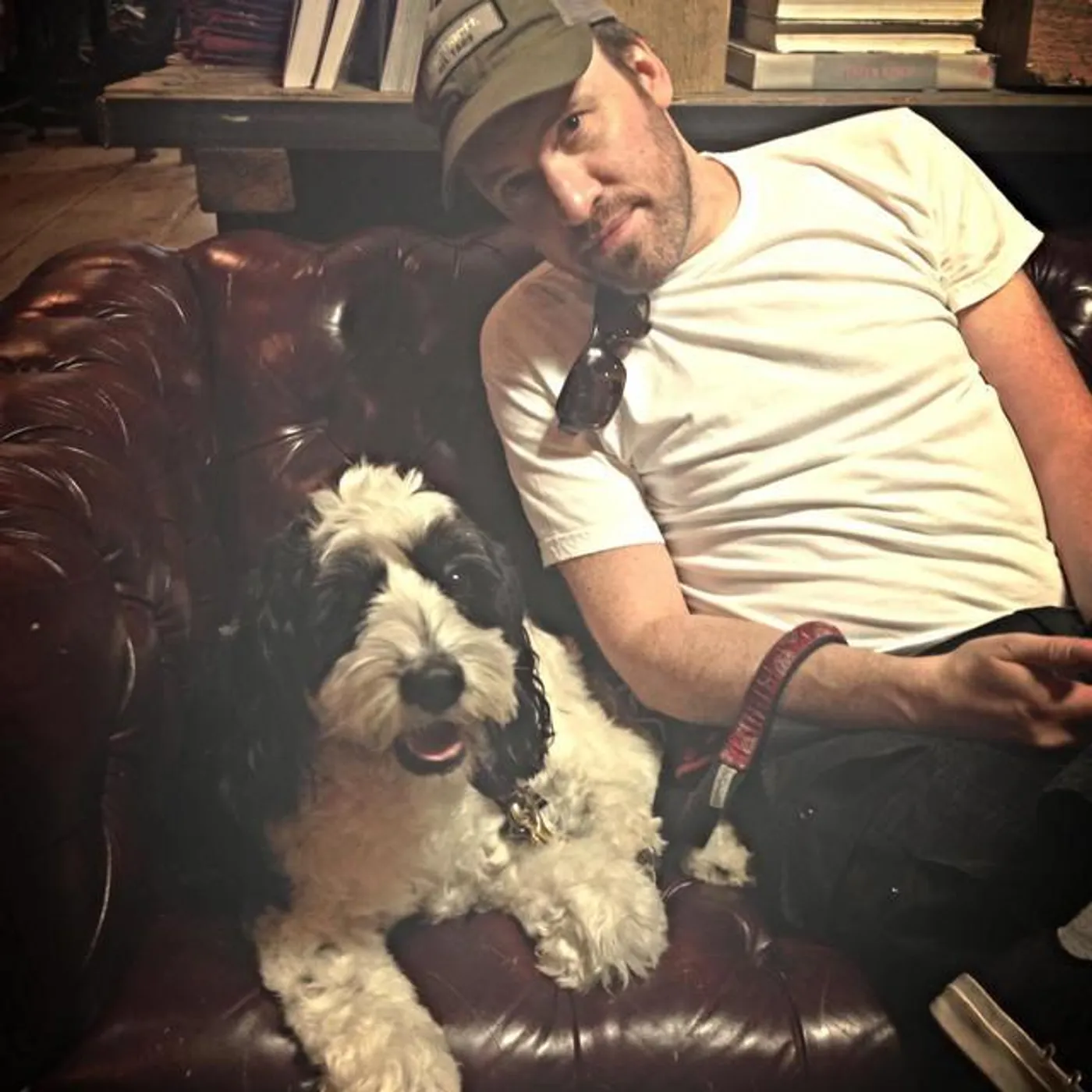 Andrew Hollander Brand Page