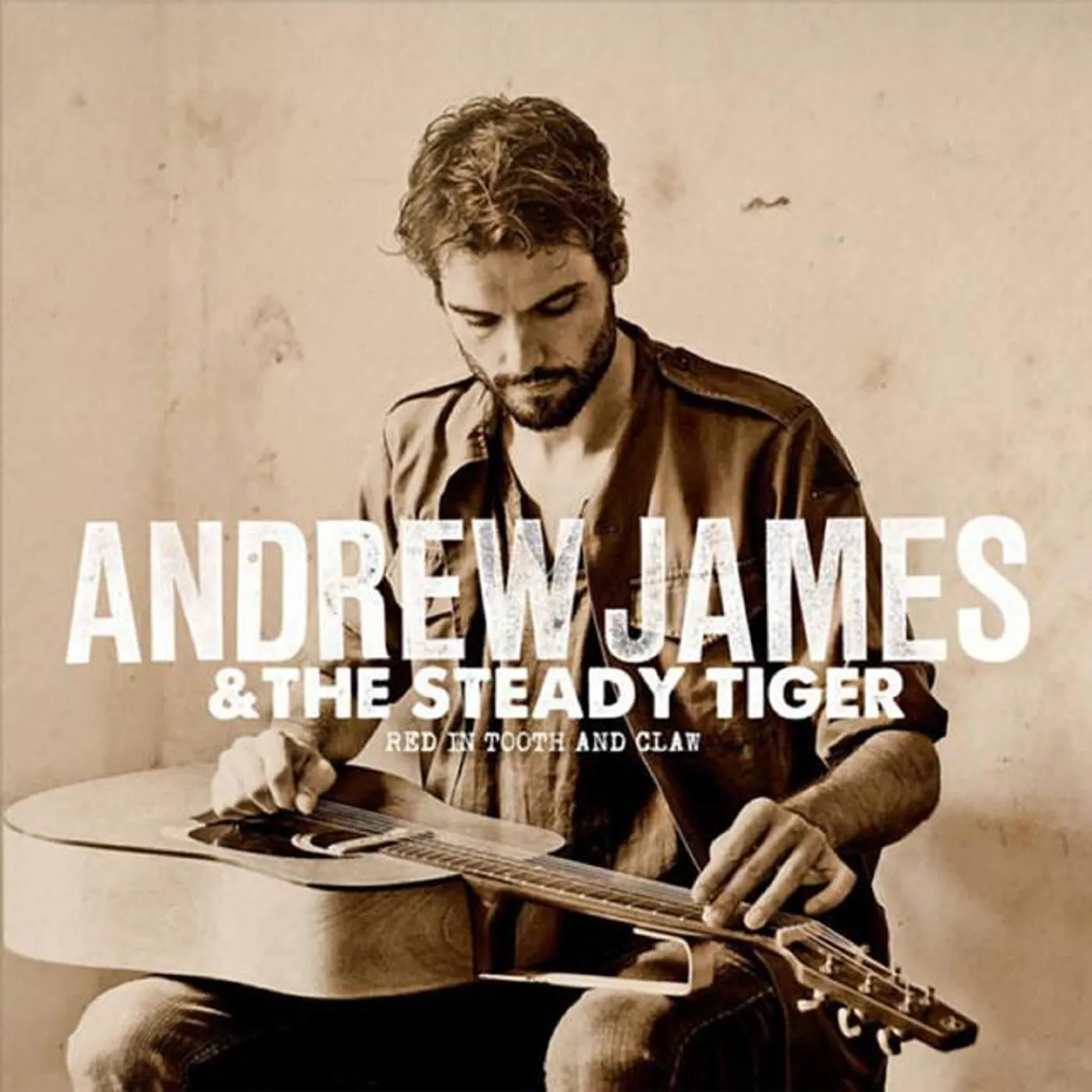 Andrew James & The Steady Tiger