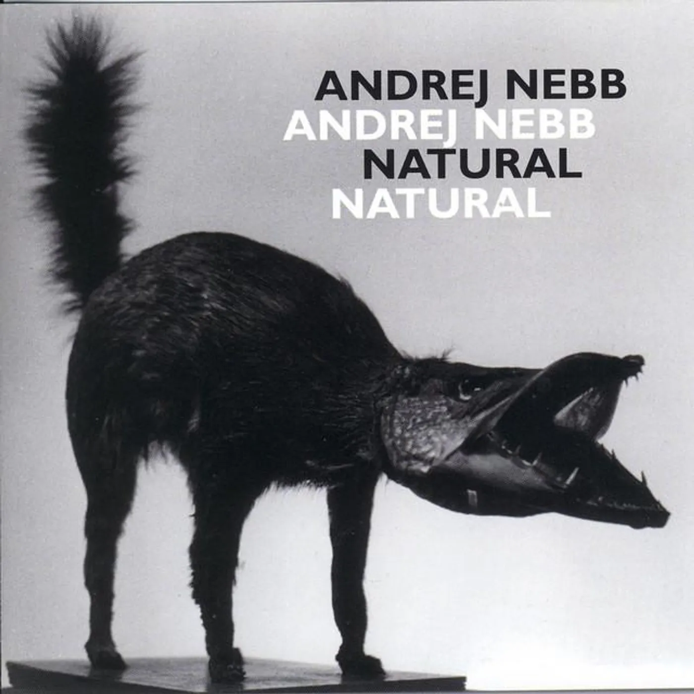 Andrej Nebb Brand Page