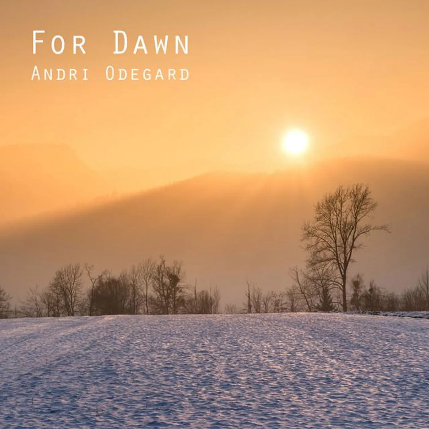 Andri Odegard Brand Page