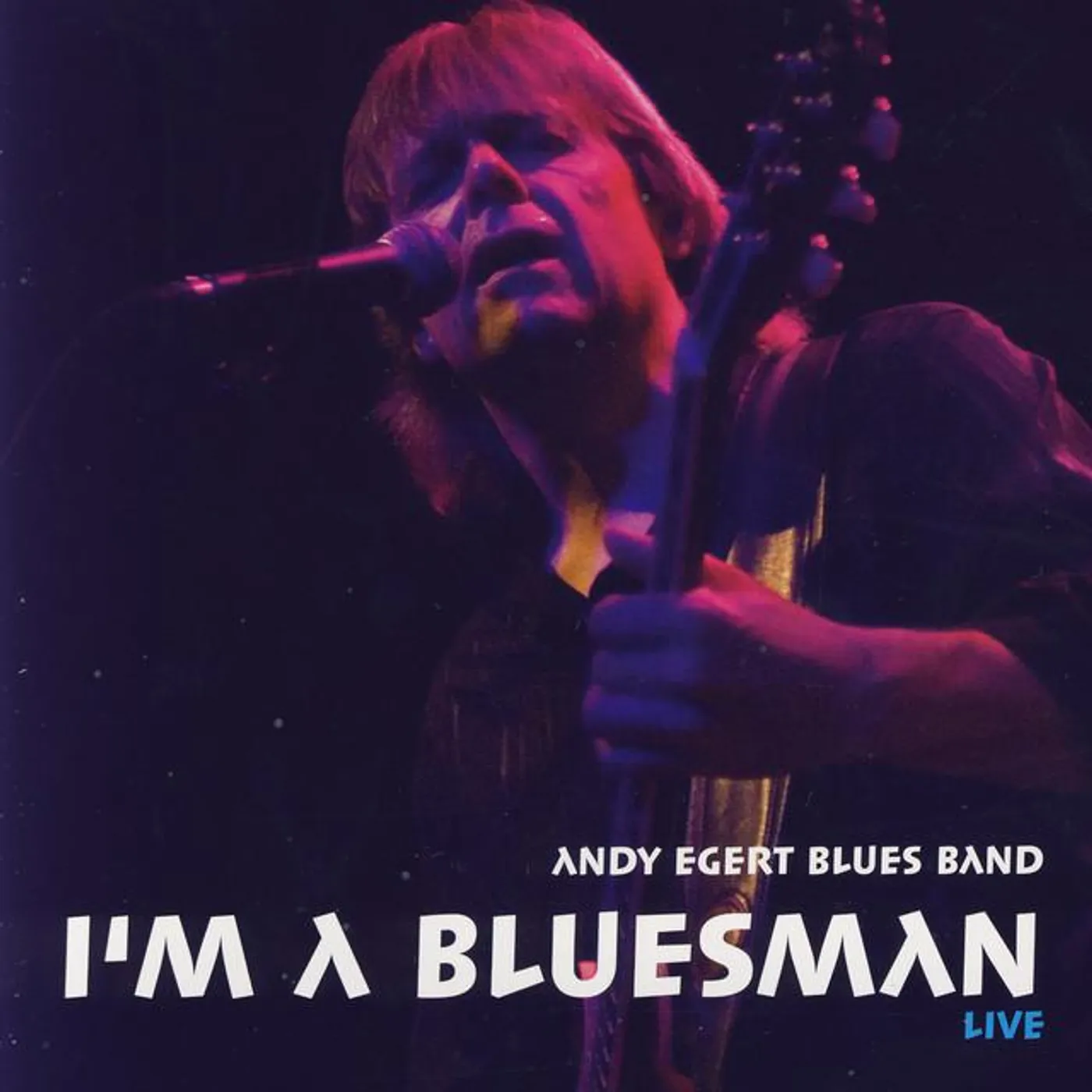 Andy Egert Blues Band Brand Page