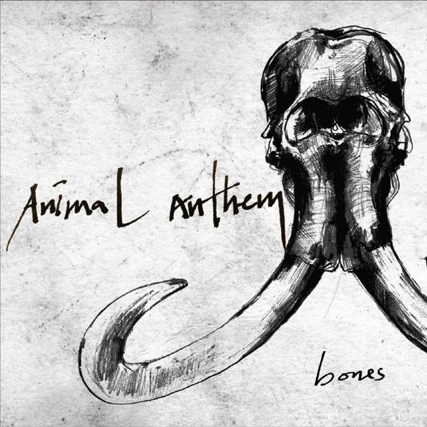 Animal Anthem Brand Page
