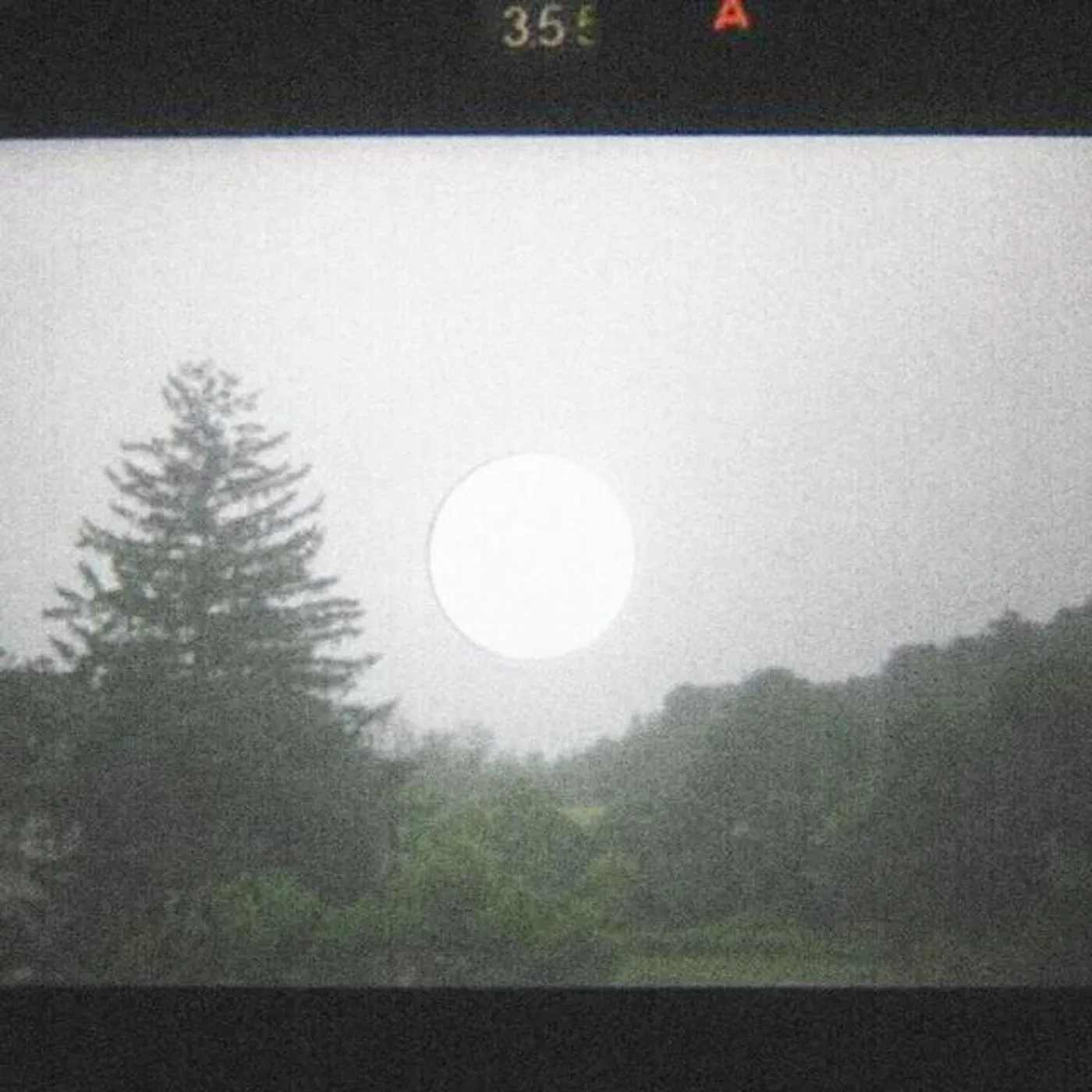 Animal Flag Brand Page