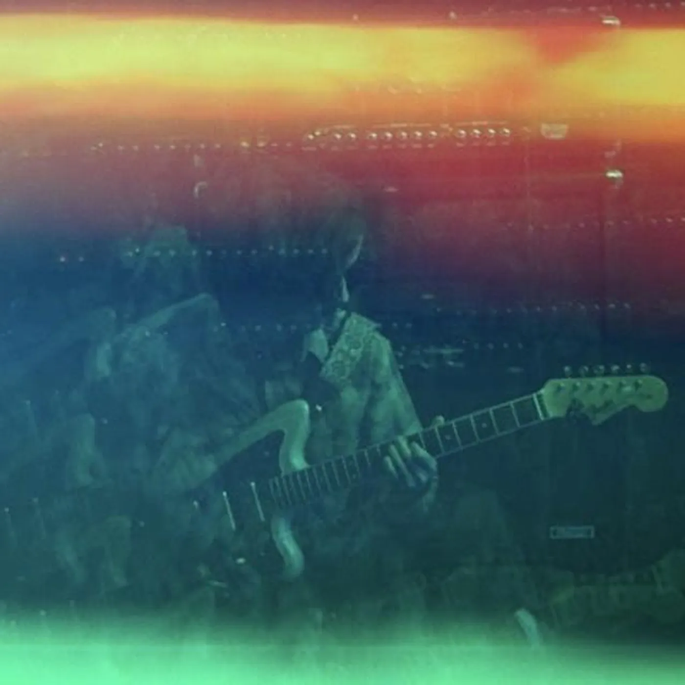 Animal Ghosts Brand Page