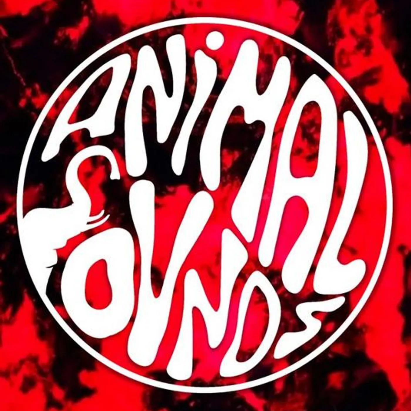 Animal Sounds