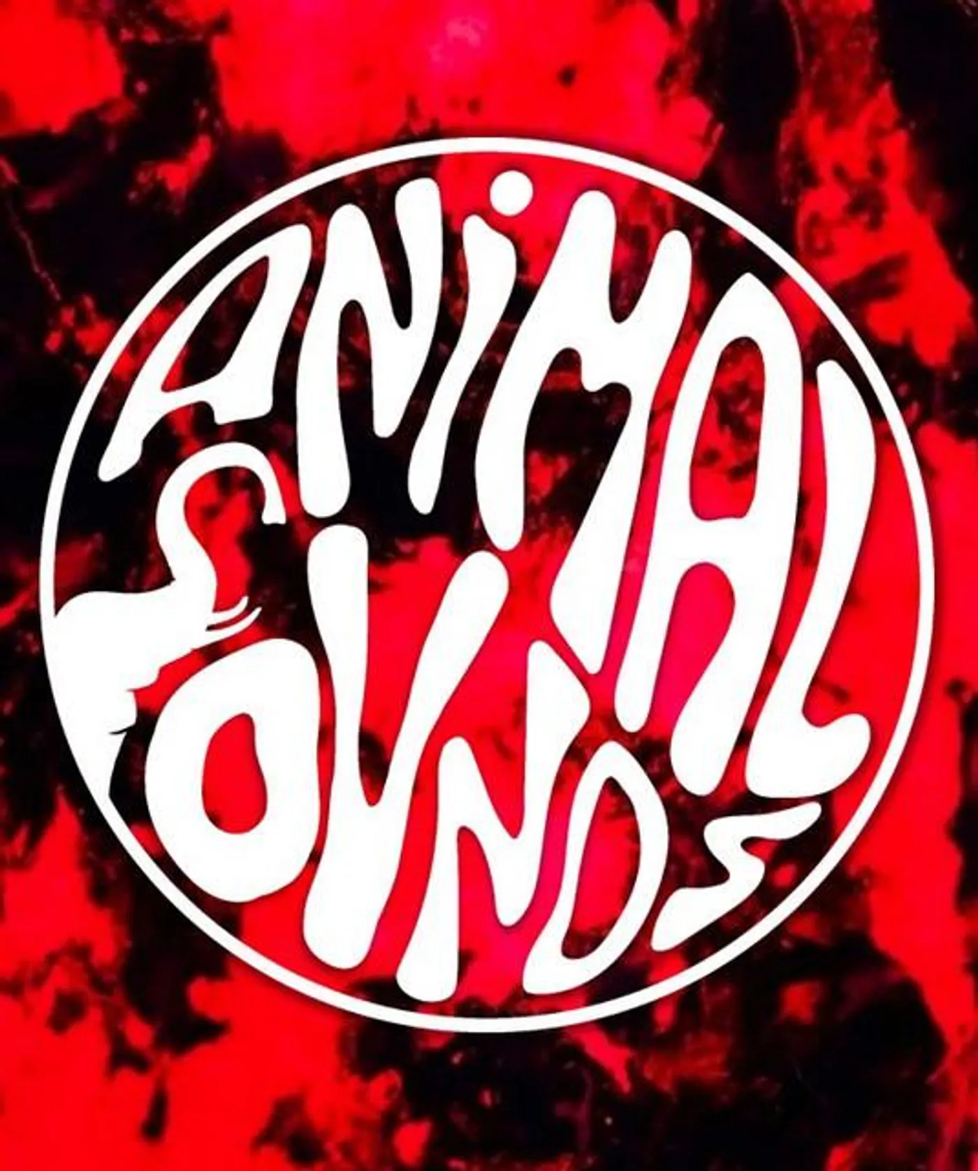Animal Sounds