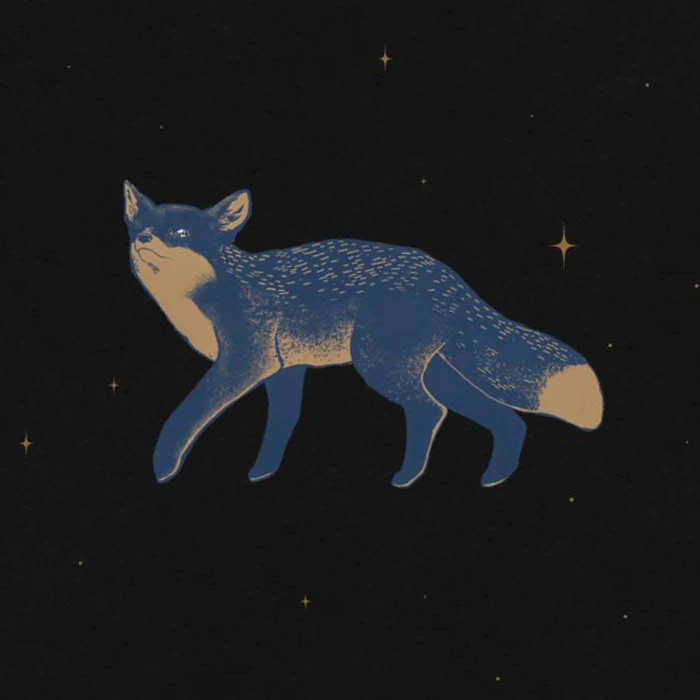 Animales de Lumière