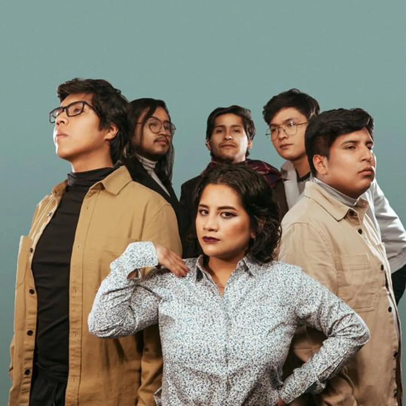 Animals Only Brand Page