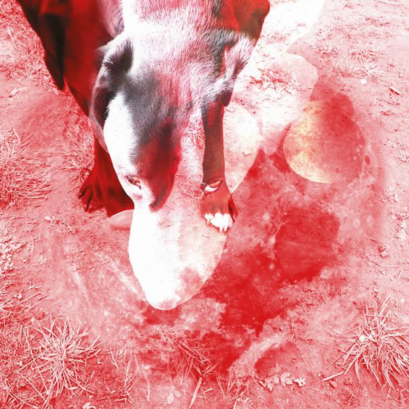 Ann Eysermans Brand Page