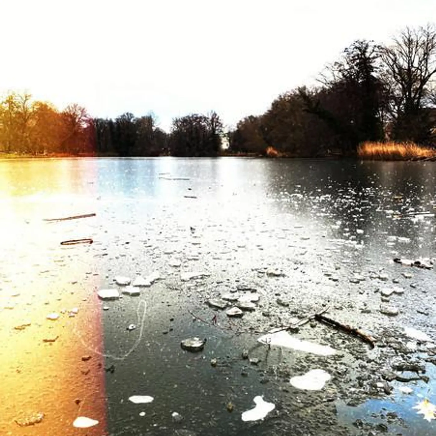 Anna-Marlene Brand Page