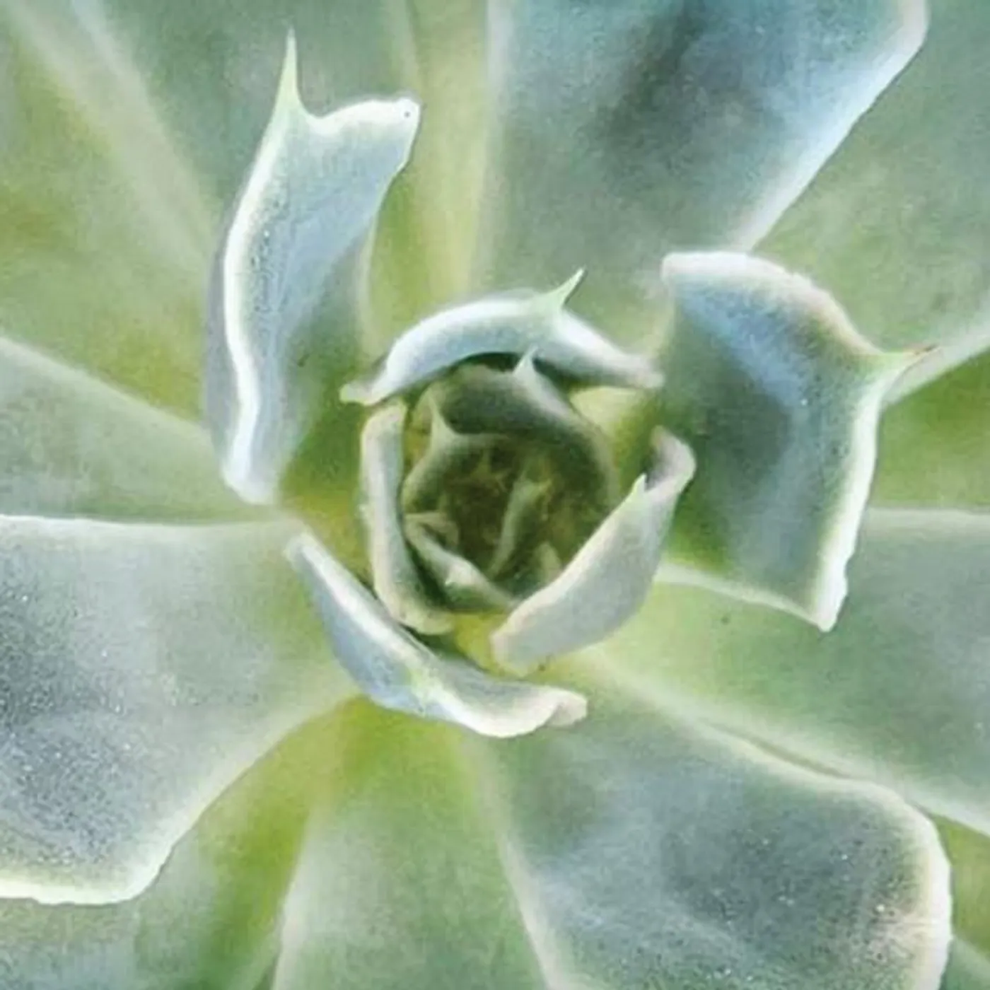 Anne Trenning Brand Page