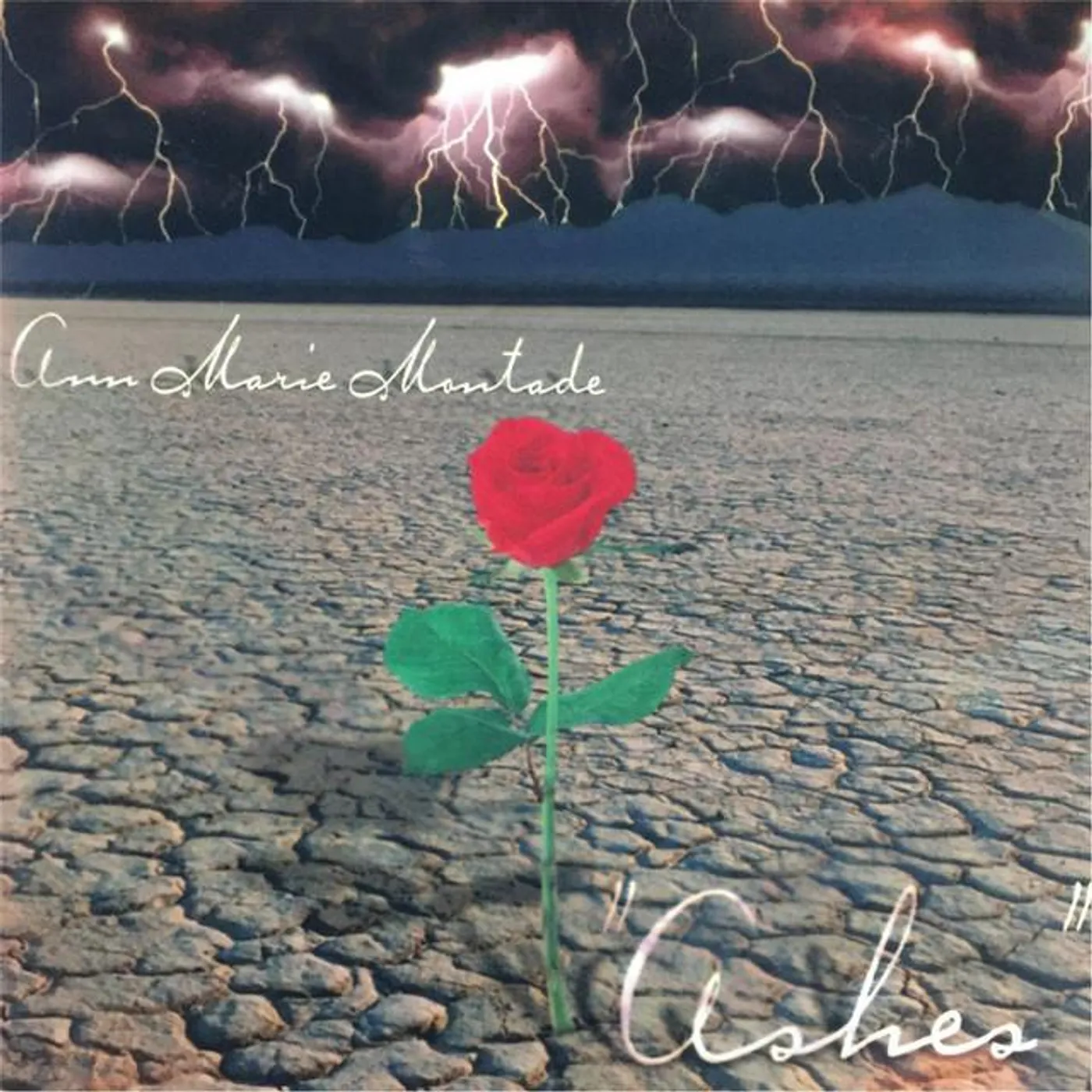 Annmarie Montade Brand Page