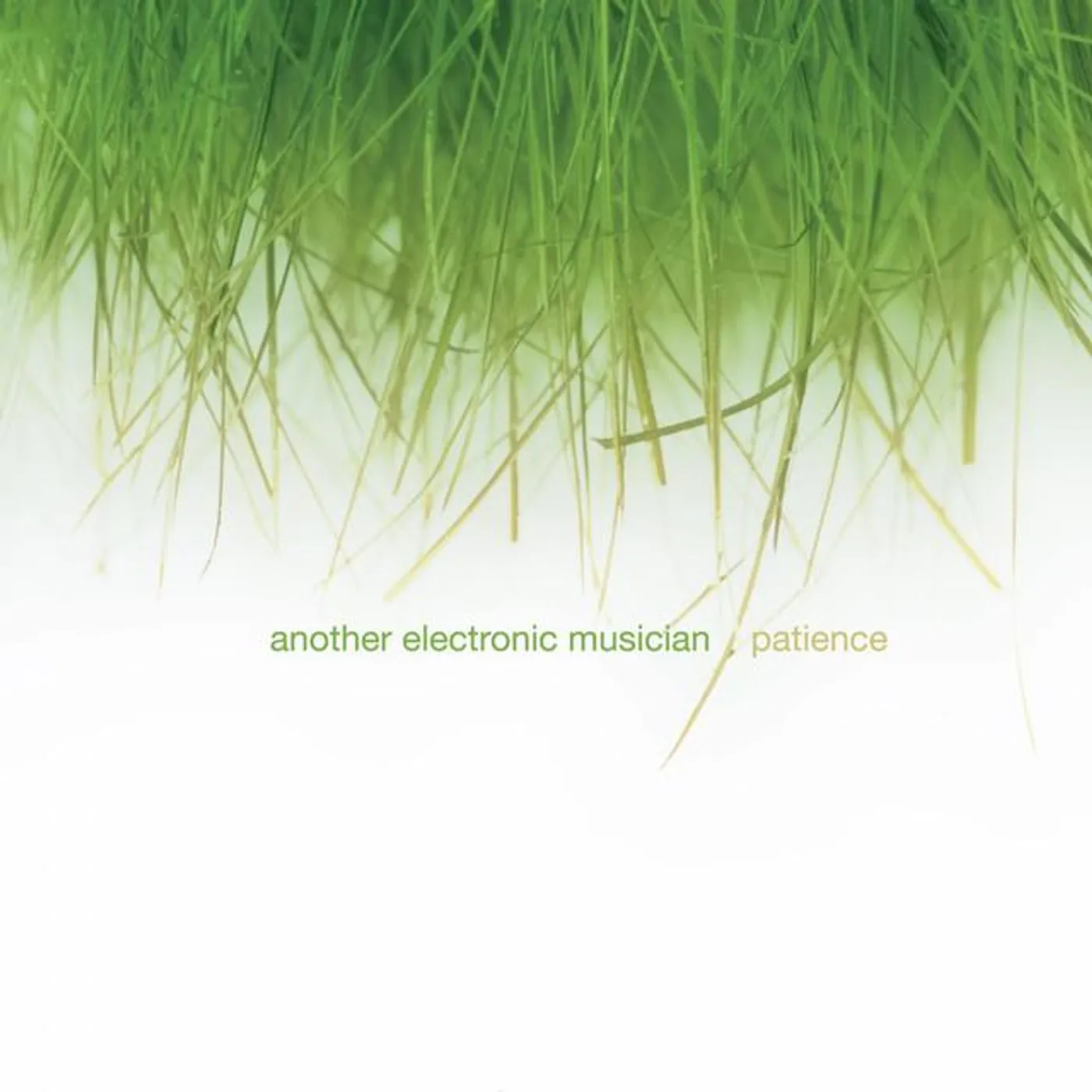 Another Electronic Musician Brand Page