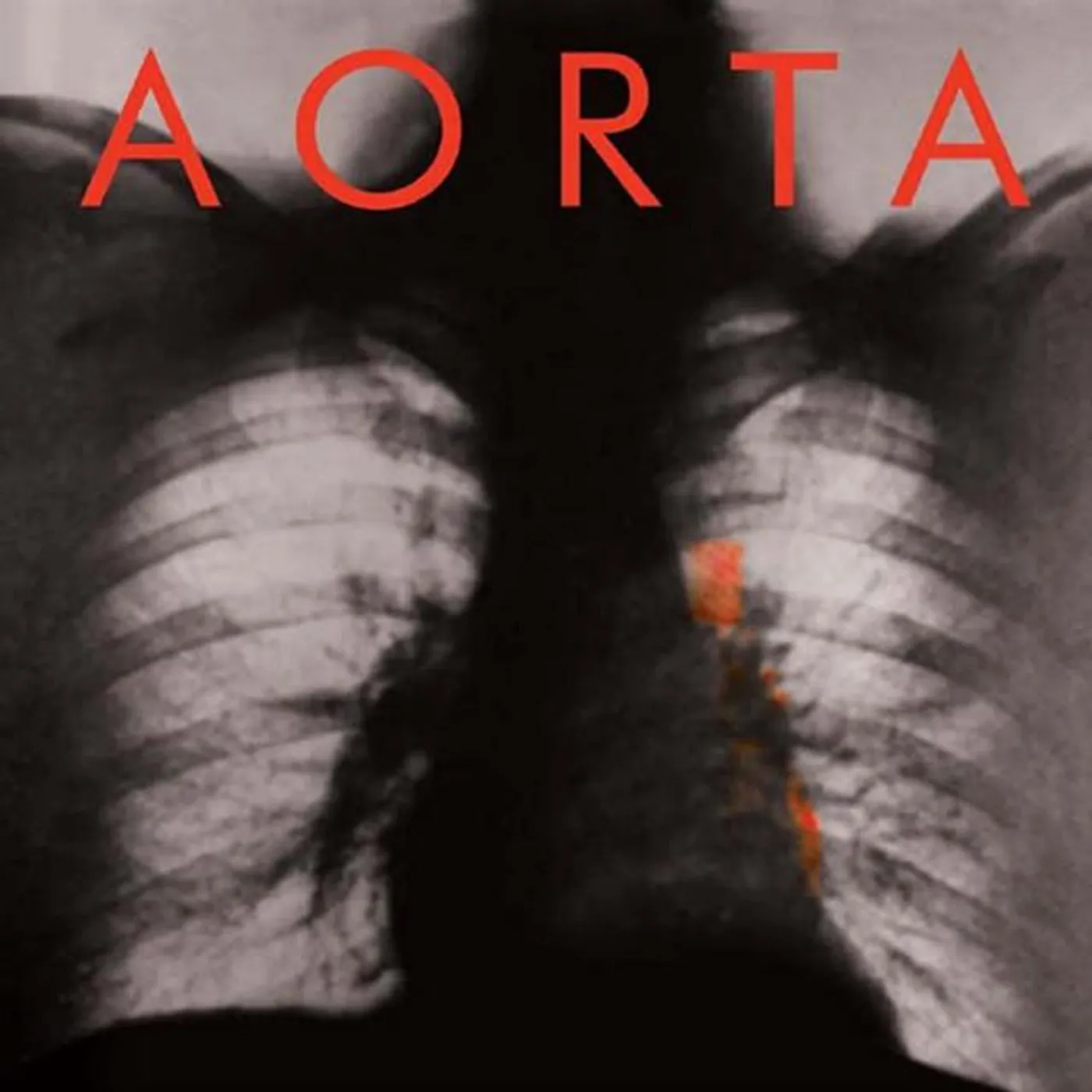 Aorta Brand Page