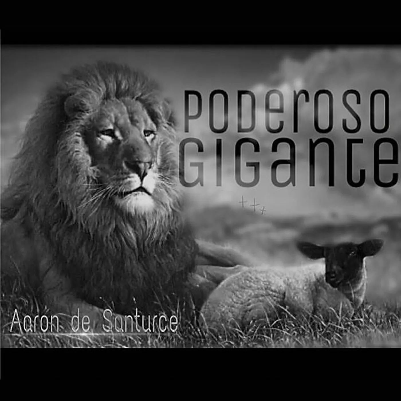 Aarón de Santurce Brand Page