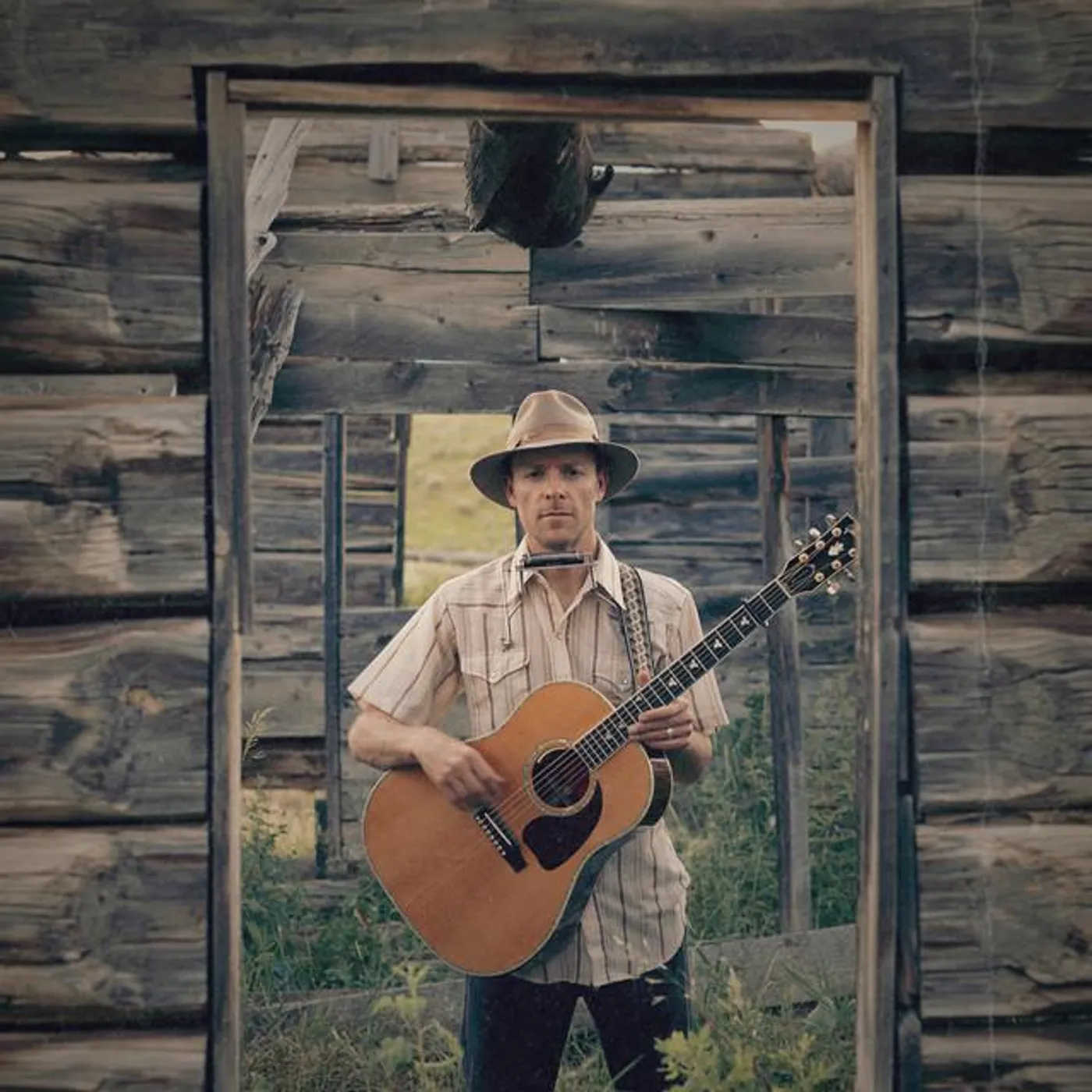 Aaron Davis Brand Page